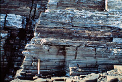 Photo of sample